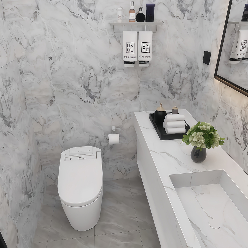 S5 draagbare schilderachtige capsulewoningen